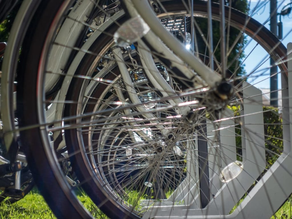 自転車が並んでいる写真