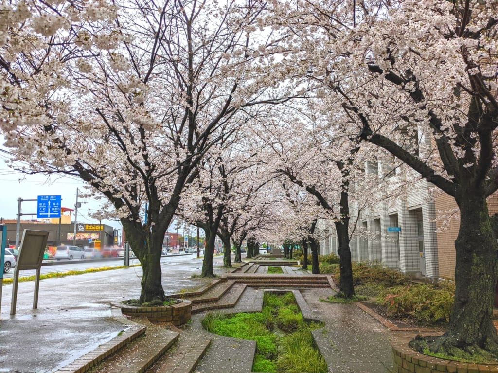 綾瀬市役所