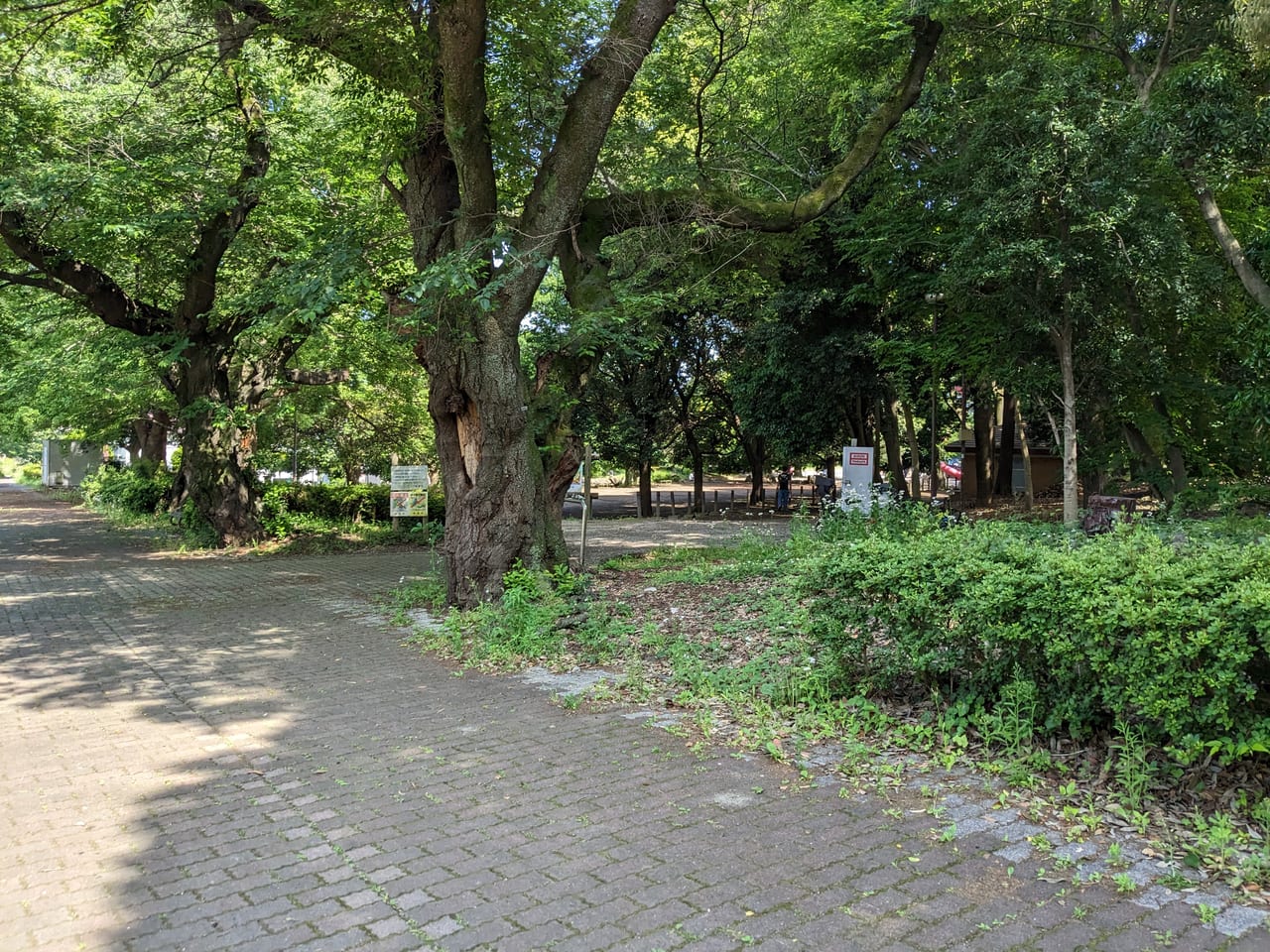 光綾公園