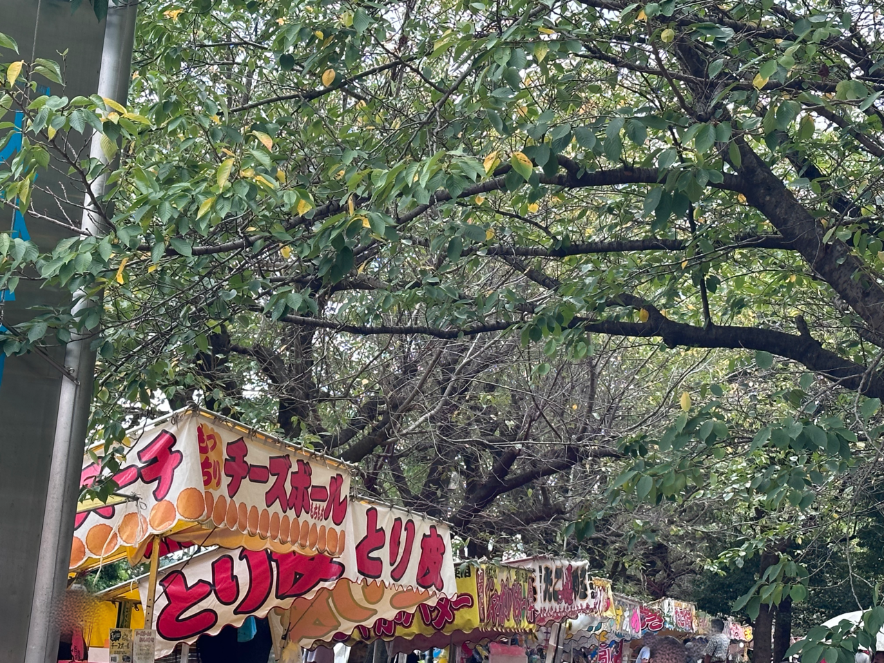 綾瀬大納涼祭