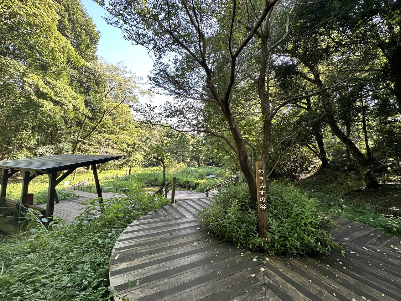 谷戸山公園