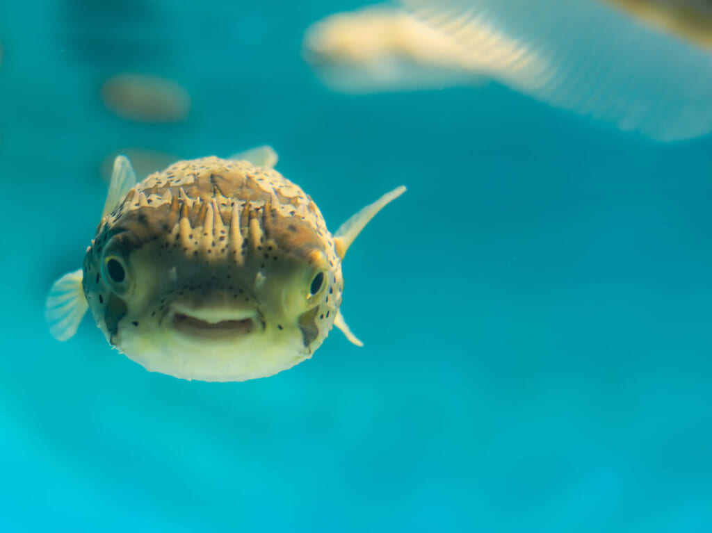 水族館