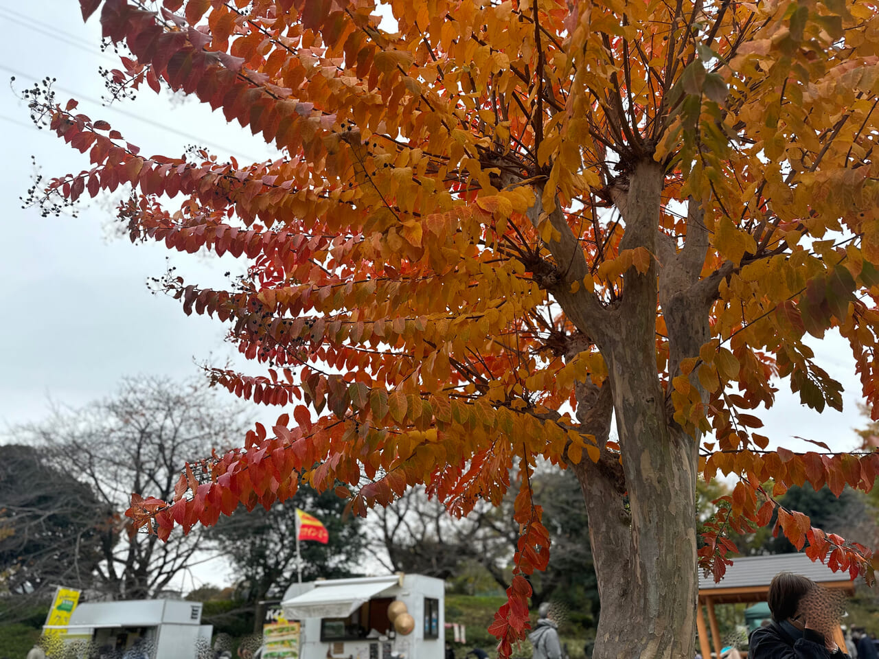 谷戸山公園