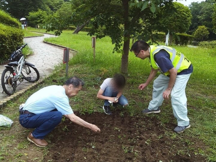 かにが沢公園 ひまわり種まき