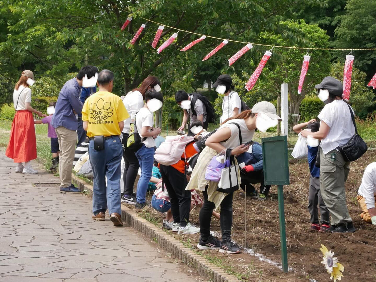 かにが沢公園 ひまわり 座間