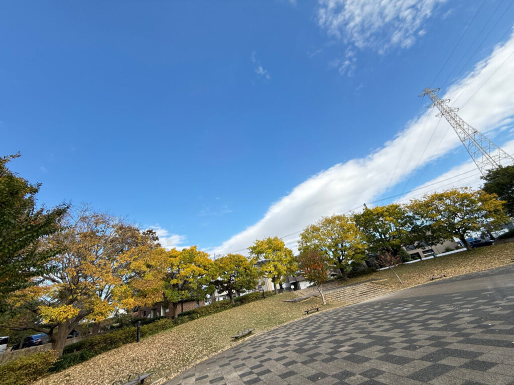 座間市の県立谷戸山公園の紅葉