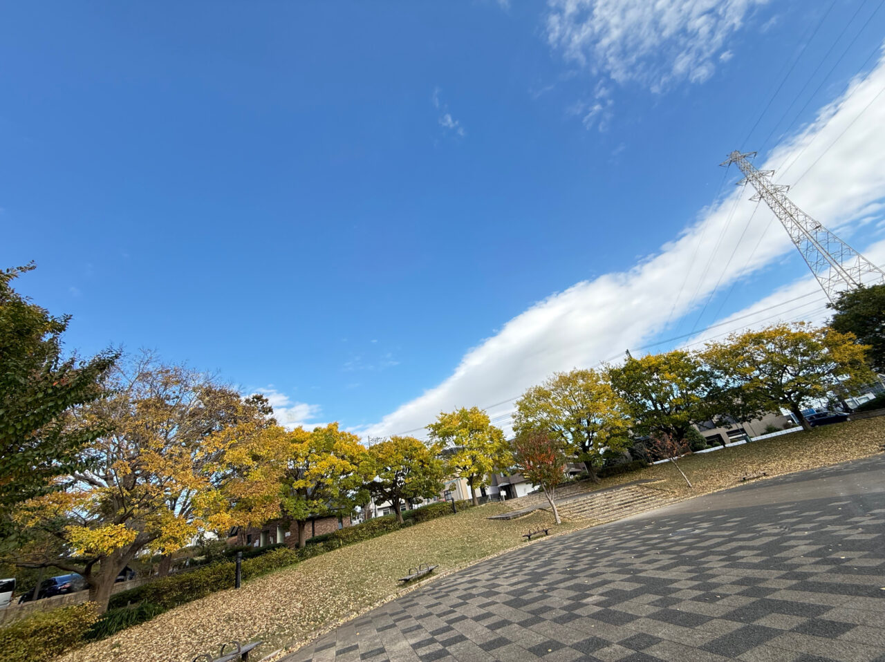 座間市の県立谷戸山公園の紅葉