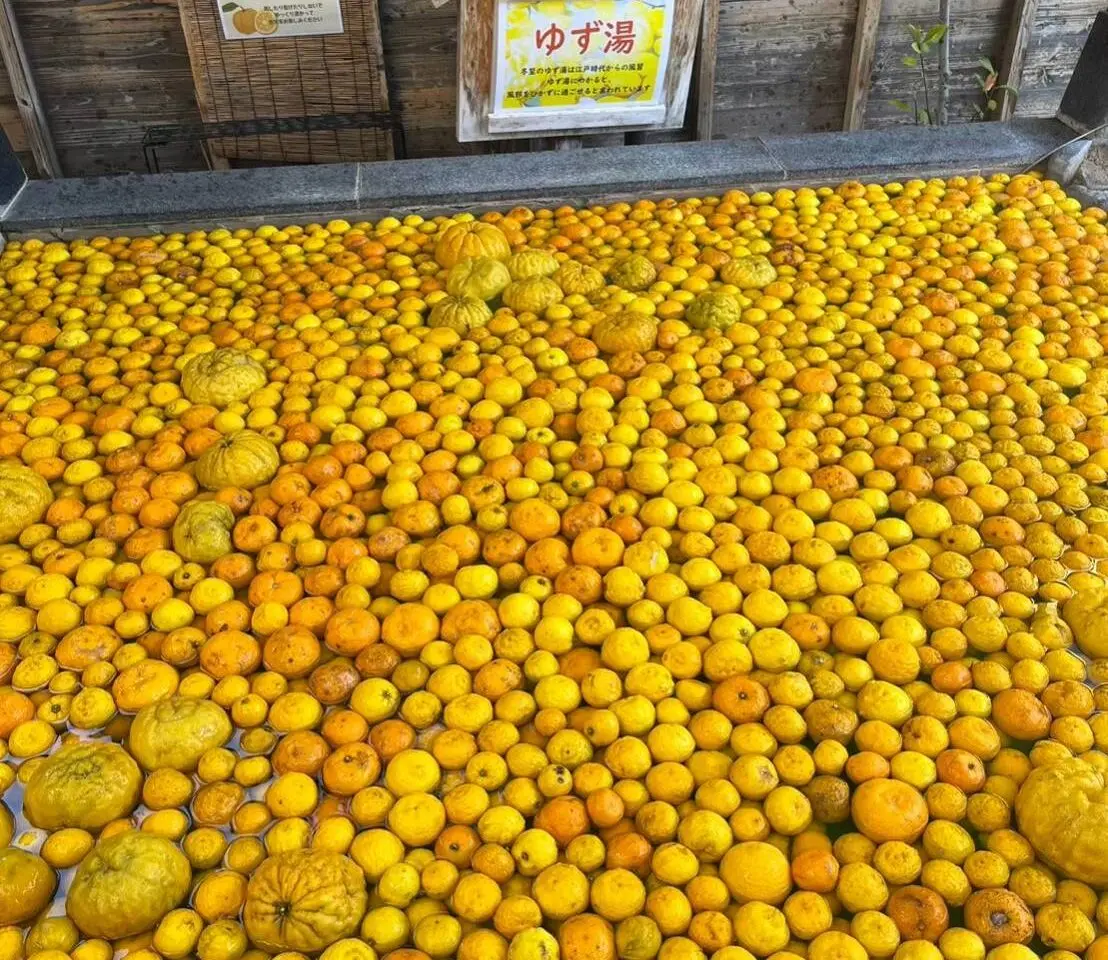 海老名市おゆぎわ柚子湯