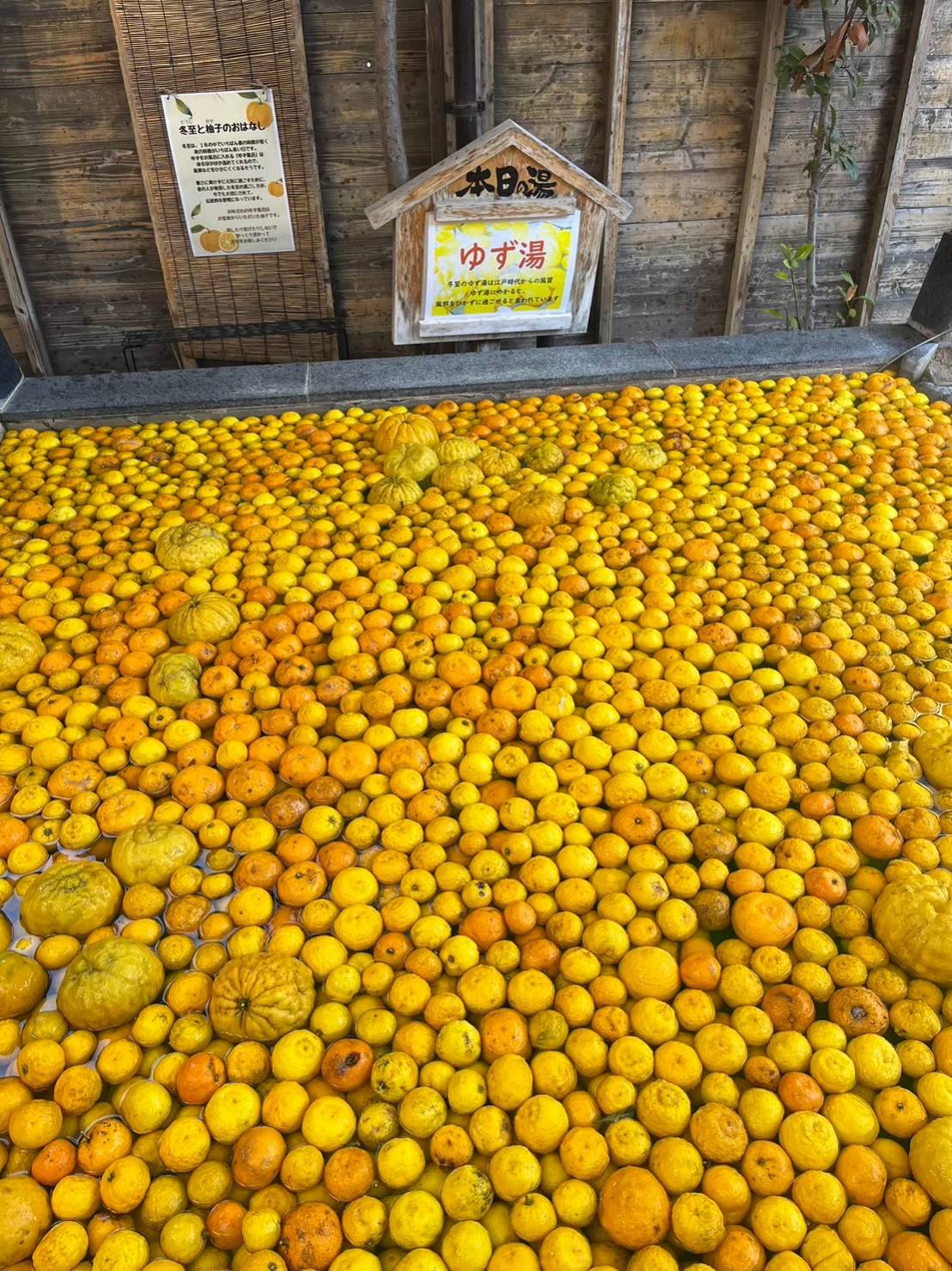 海老名市おゆぎわ柚子湯