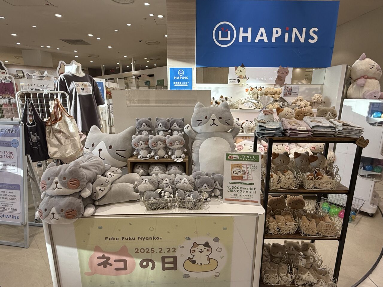 海老名市マルイファミリー海老名のHAPiNSのふくふくにゃんこ