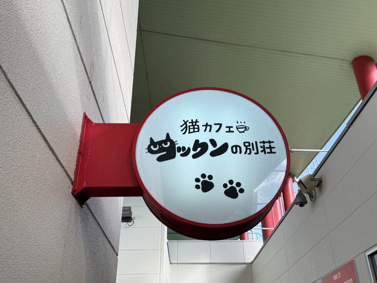 海老名市ビナウォーク猫カフェコックンの別荘