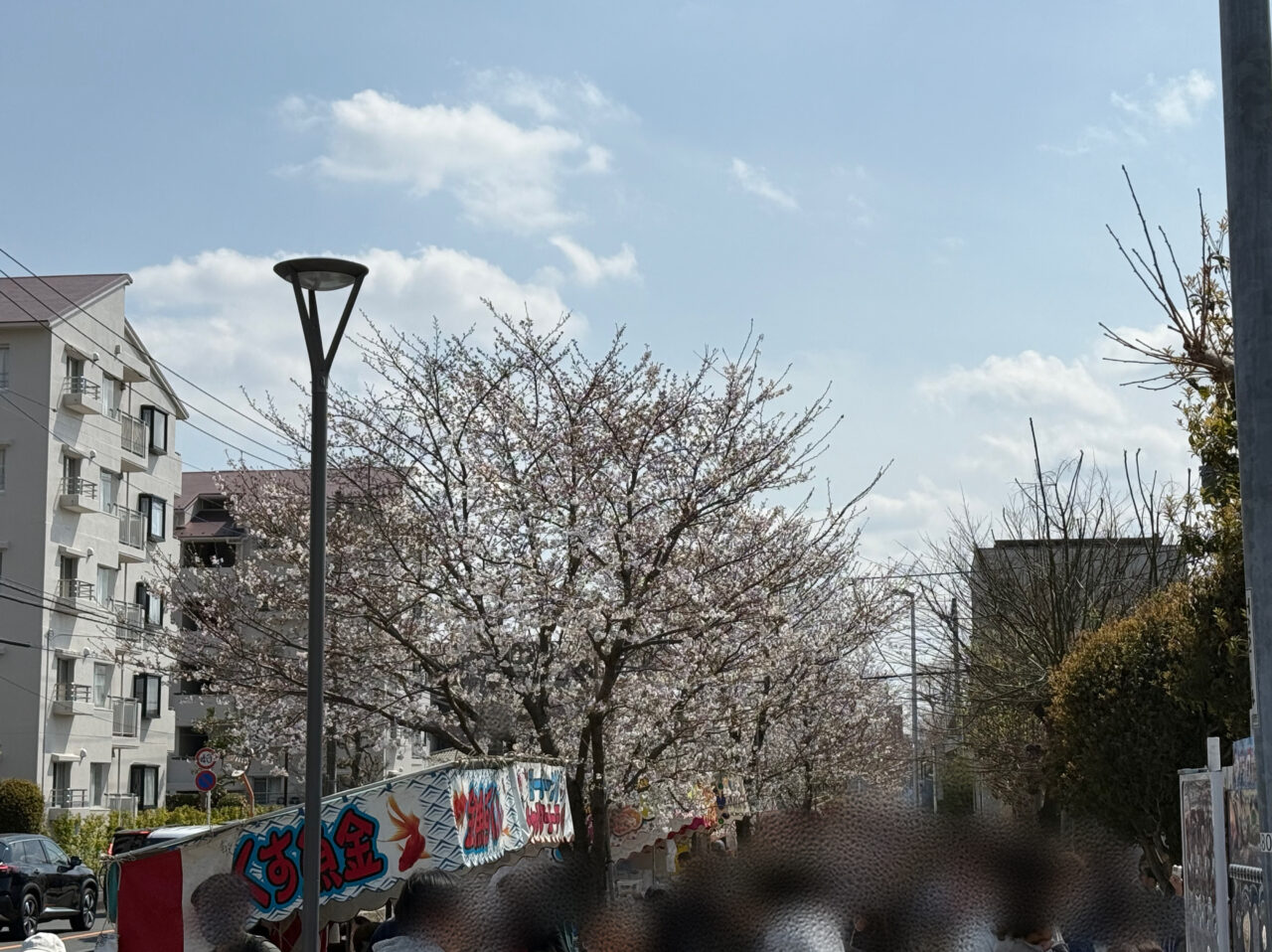 座間市さがみ野さくら祭