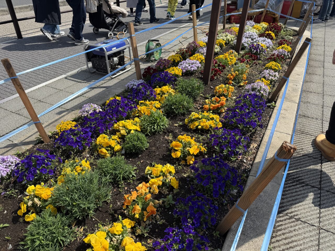 座間市さがみ野さくら祭