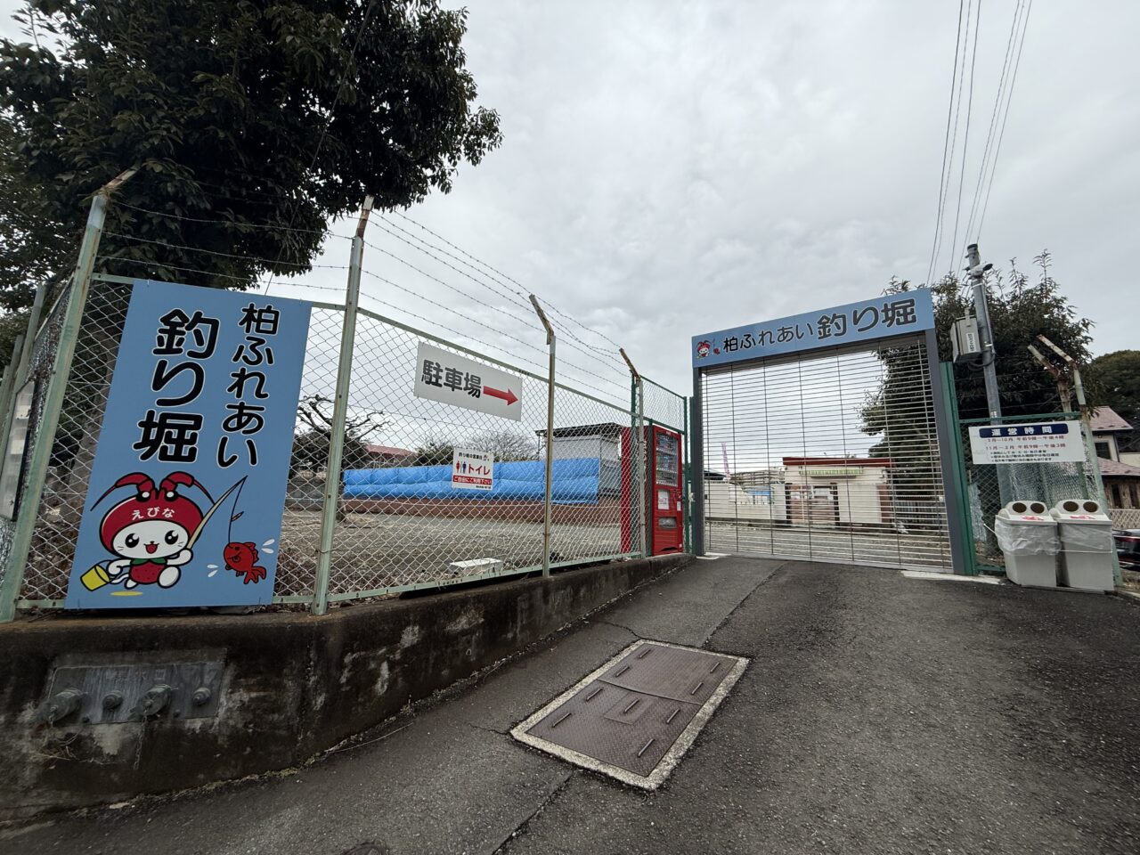 海老名市柏ふれあい釣り堀