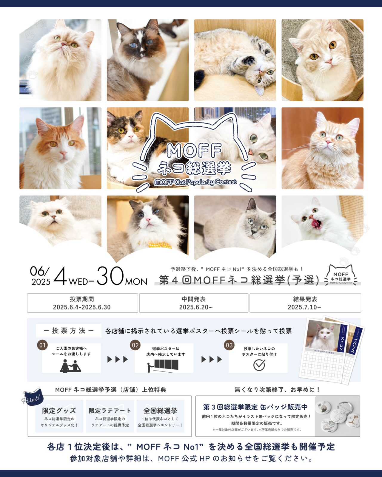 海老名市ビナウォーク猫カフェコックンの別荘
