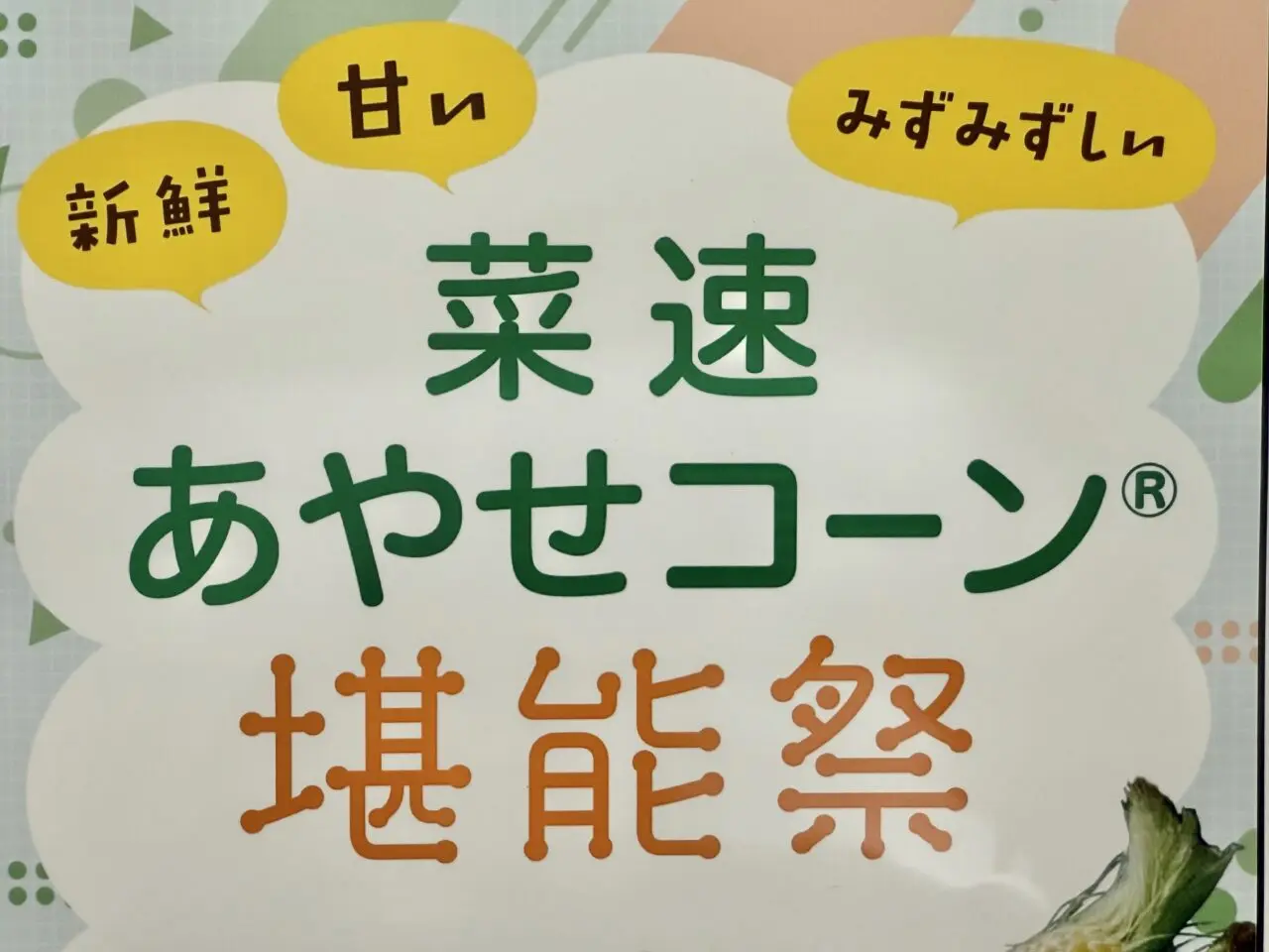 綾瀬市の菜速あやせコーン堪能祭のポスター