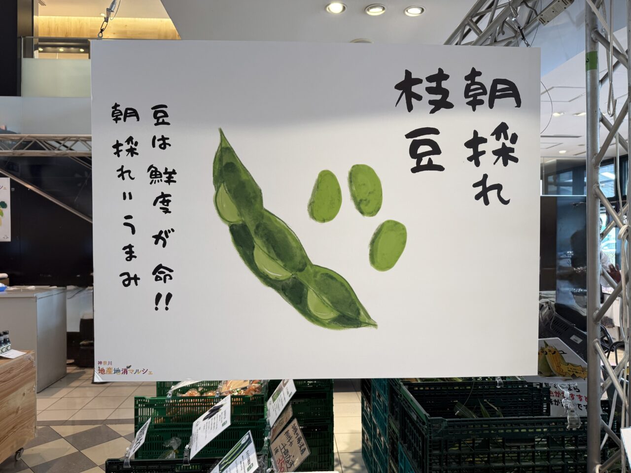 海老名市海老名サービスエリア地産地消マルシェ、とうもろこし