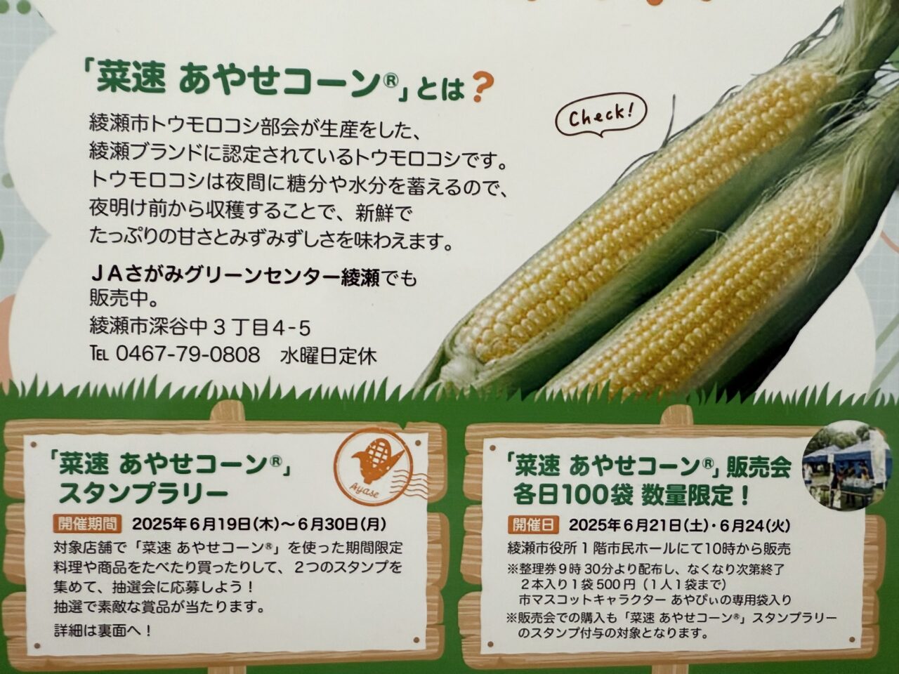 綾瀬市の菜速あやせコーン堪能祭のポスター