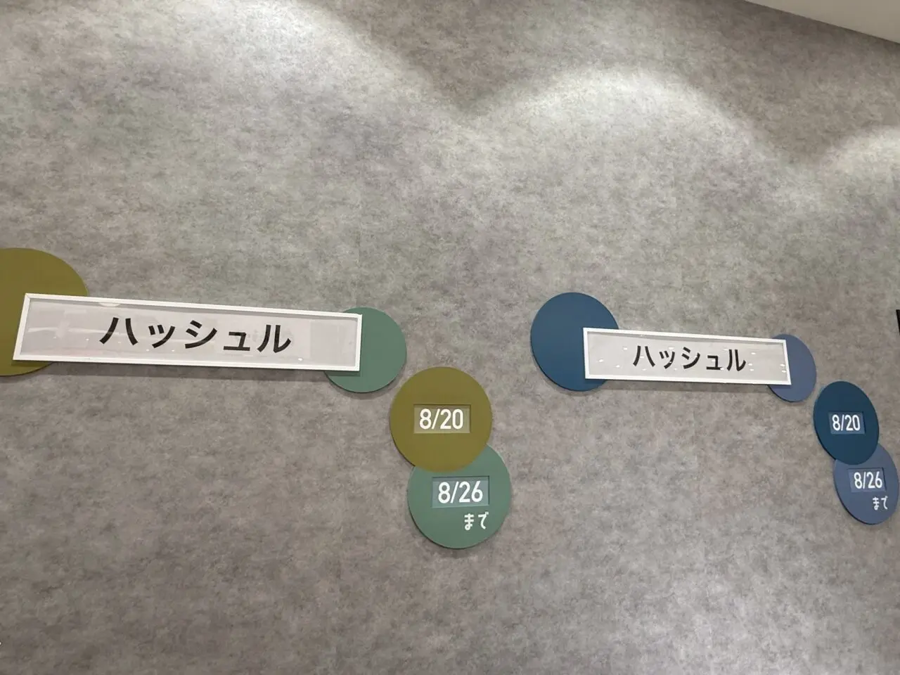海老名市海老名マルイハッシェル