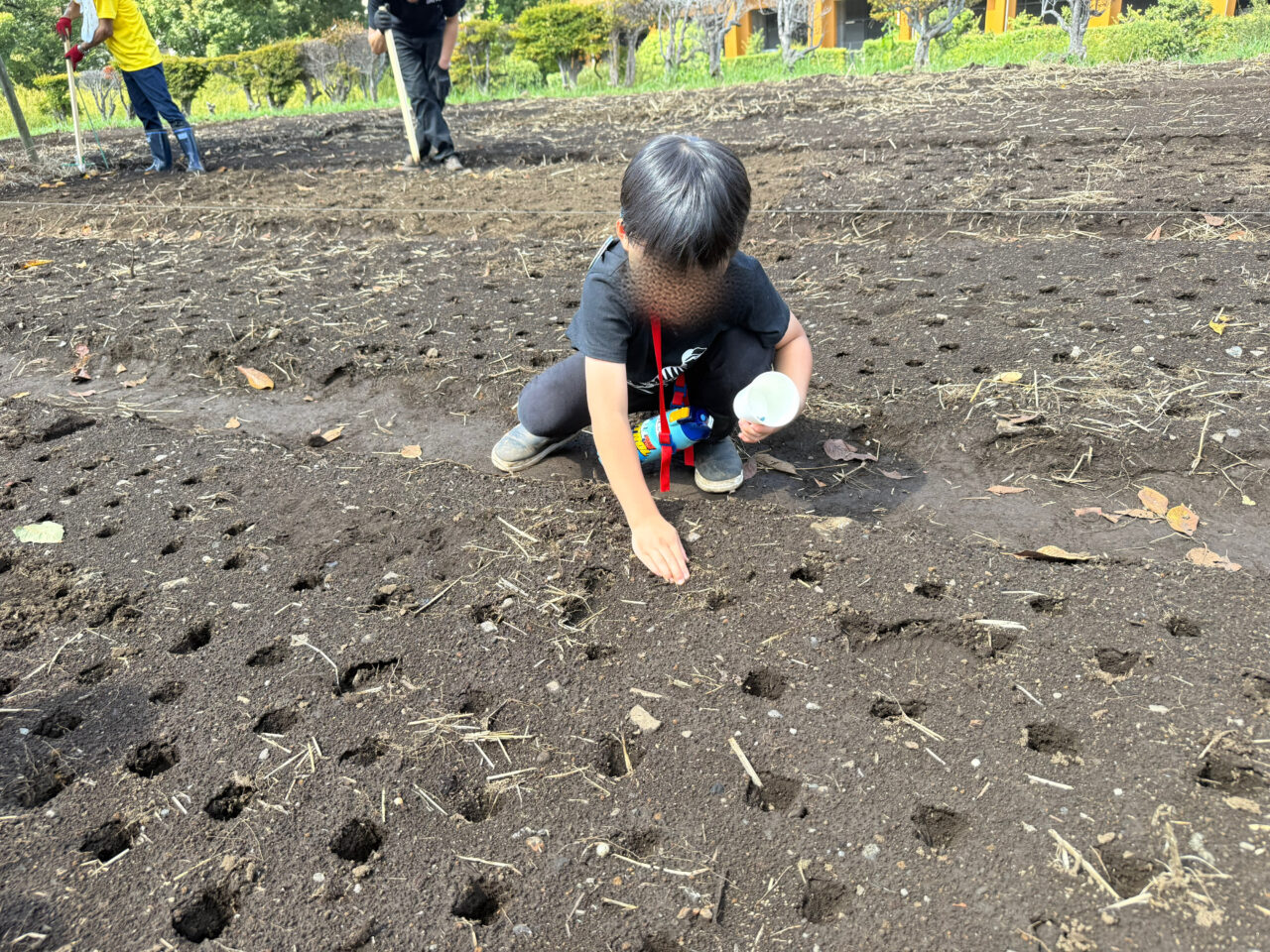 座間市かにが沢公演活性化委員会冬のひまわり 種まきをする子供