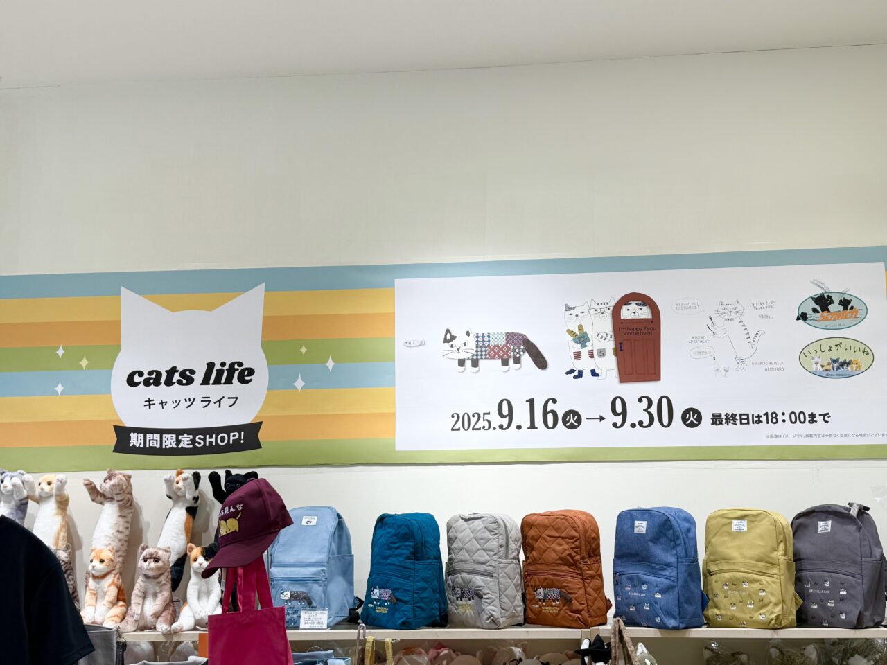 海老名市海老名マルイキャッツライフ