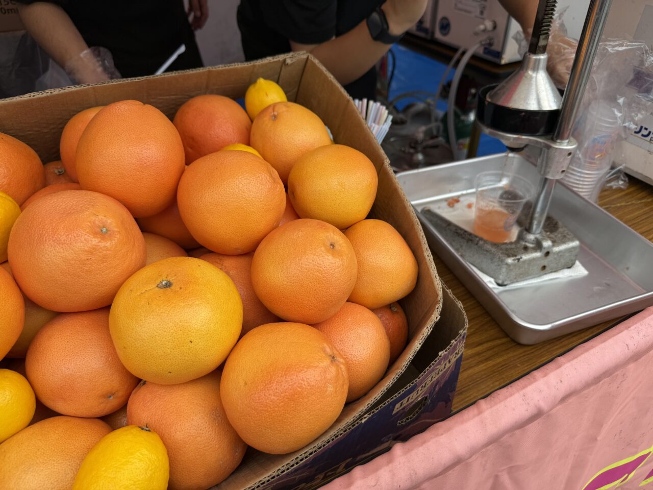 海老名市海老名中央公園下町ハイボールフェス