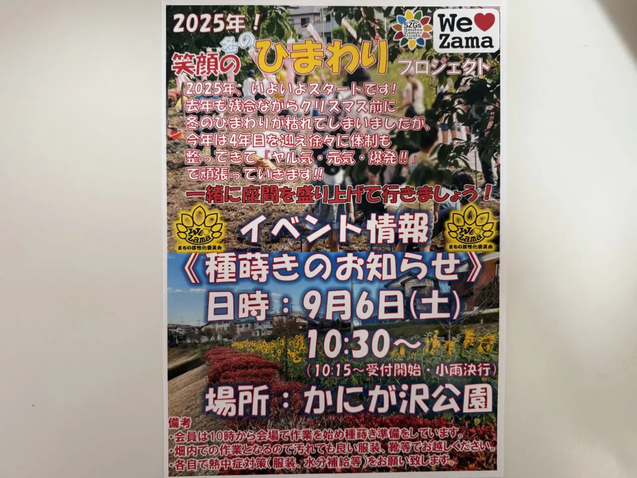 座間市　かにが沢公園 ひまわり 座間