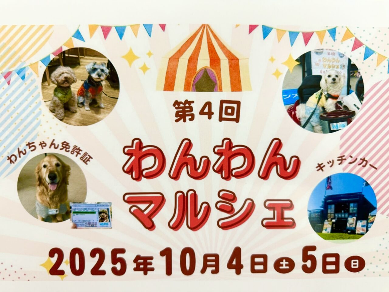 海老名市ウエインズパークわんわんマルシェ