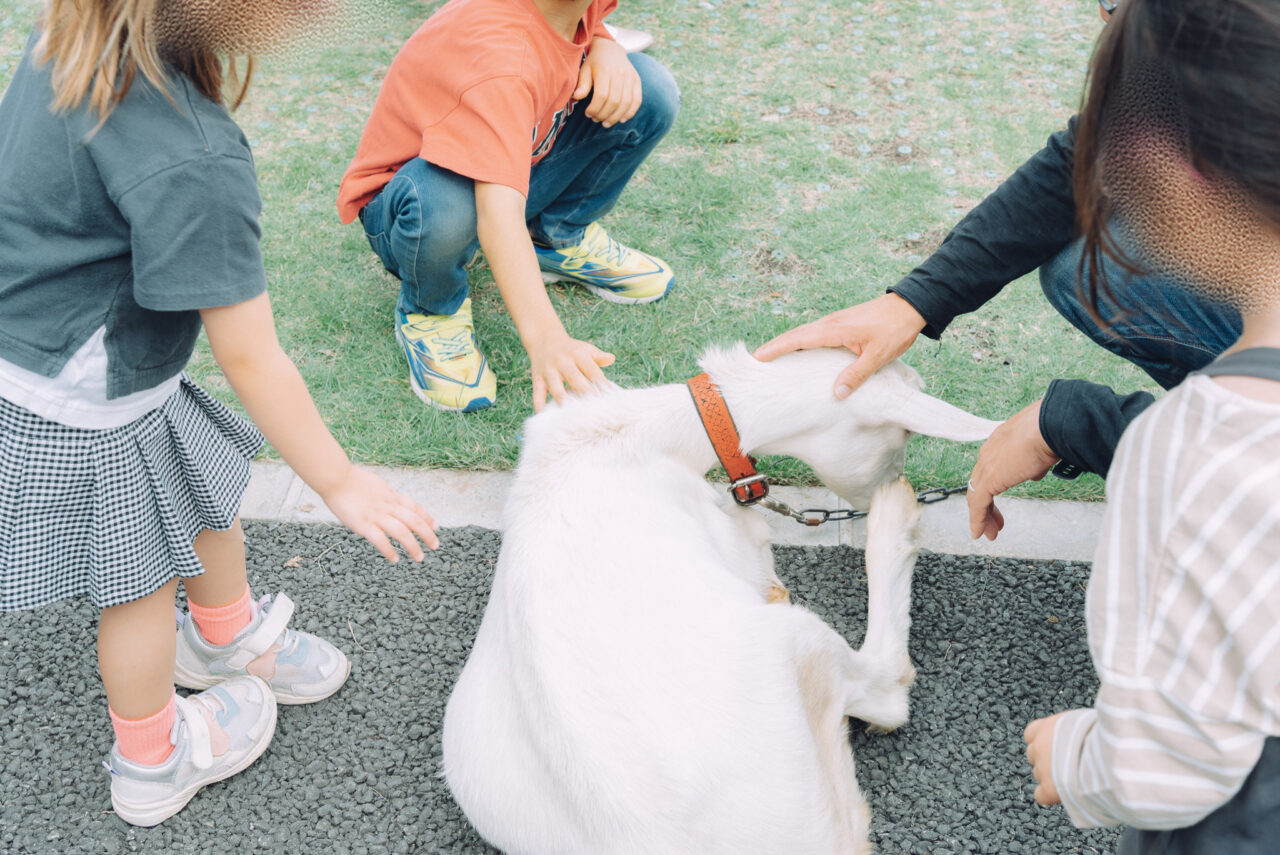 10月イチゴマルシェの様子
