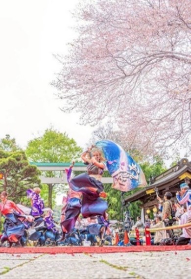 神奈川よさこい祭り