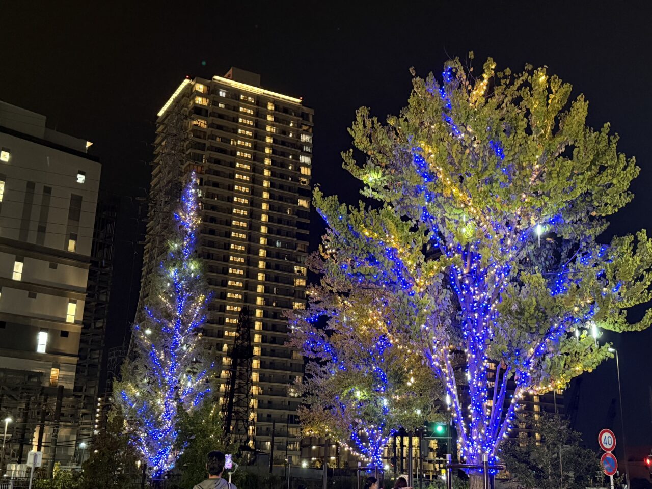 EBINA CITY LIGHTS 2024