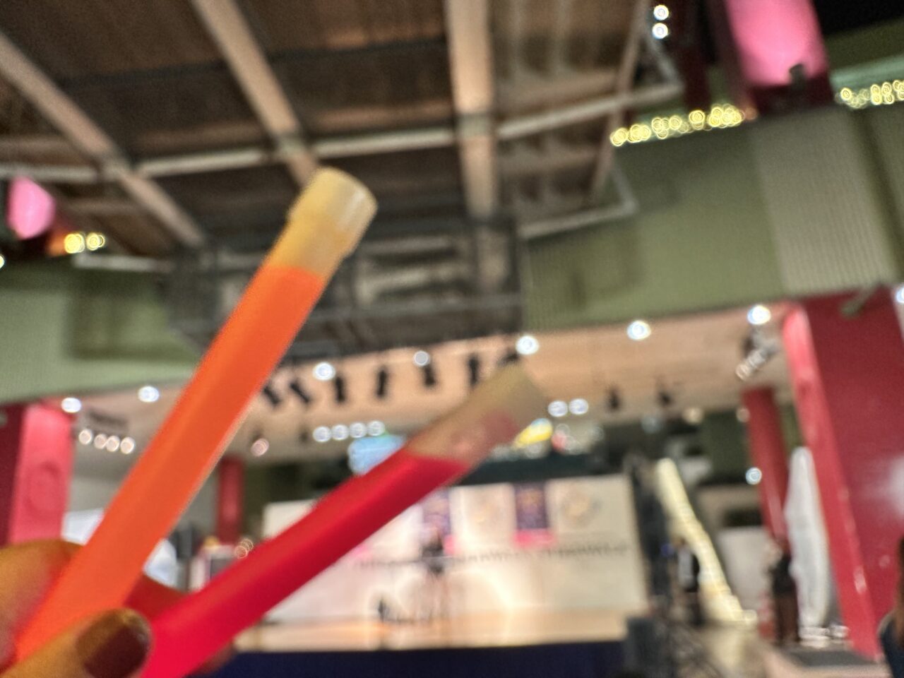 EBINA CITY LIGHTS 2023