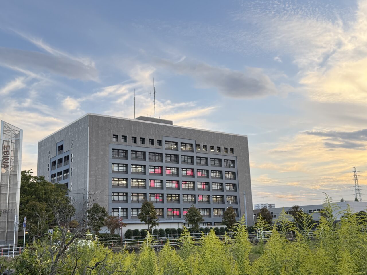 海老名市レンブラントホテルピンクリボン、市庁舎