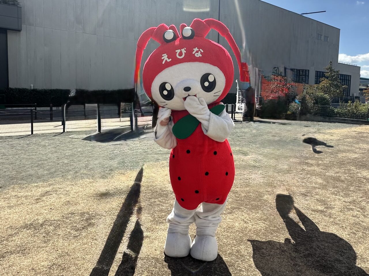 イチゴマルシェえび〜にゃ
