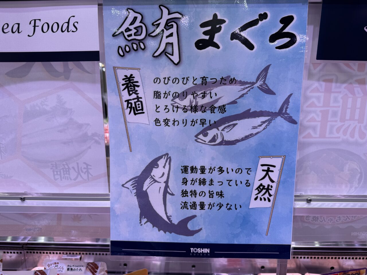 東信水産に掲示された「養殖まぐろ」と「天然まぐろ」の違いを紹介するポスター