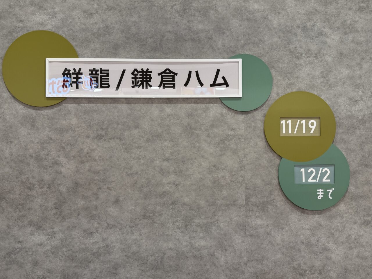 鎌倉ハムの催事期間を示す壁面ボード
