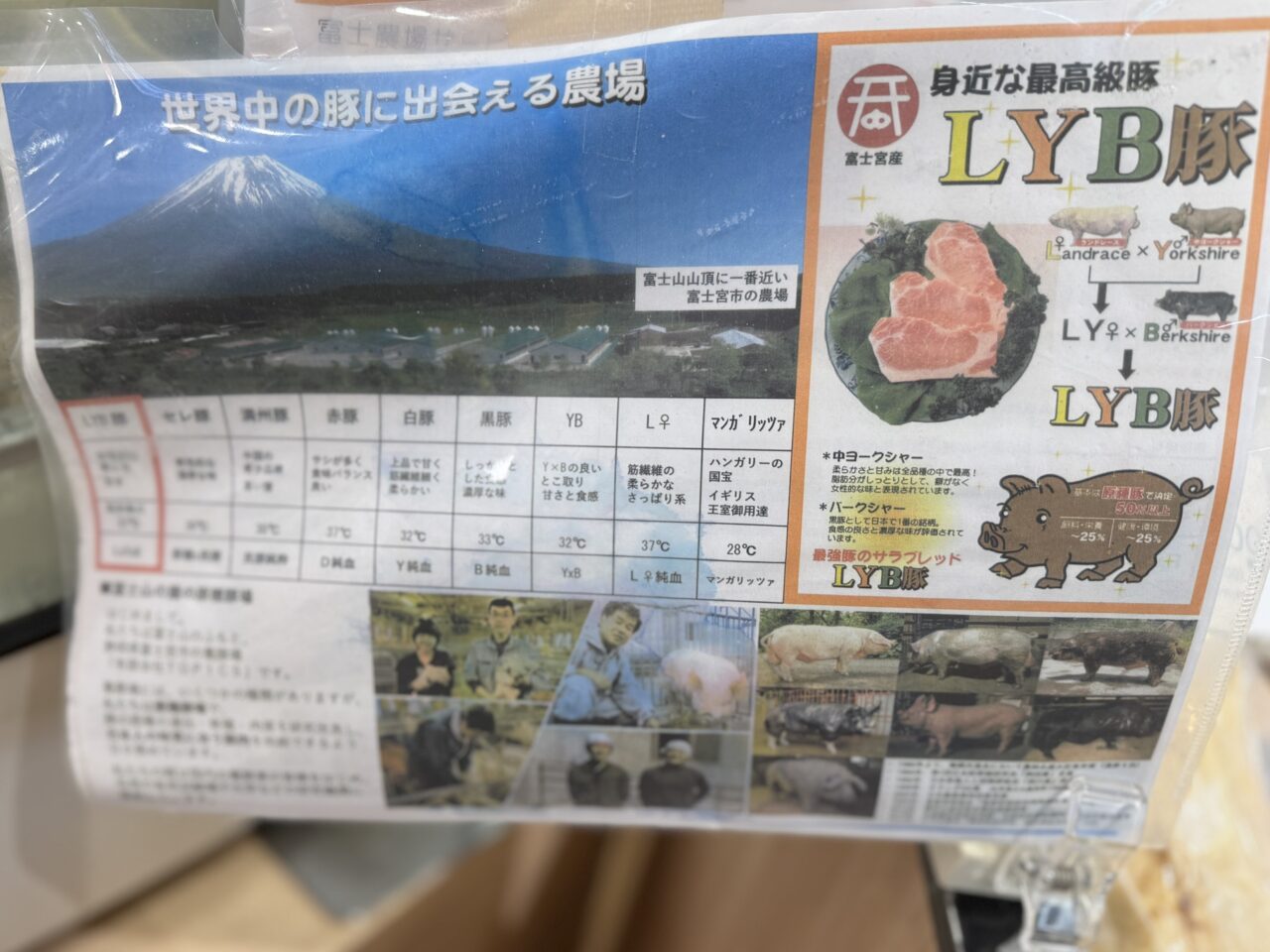 LYB豚の育成背景や品種を紹介する富士宮の農場説明パネル