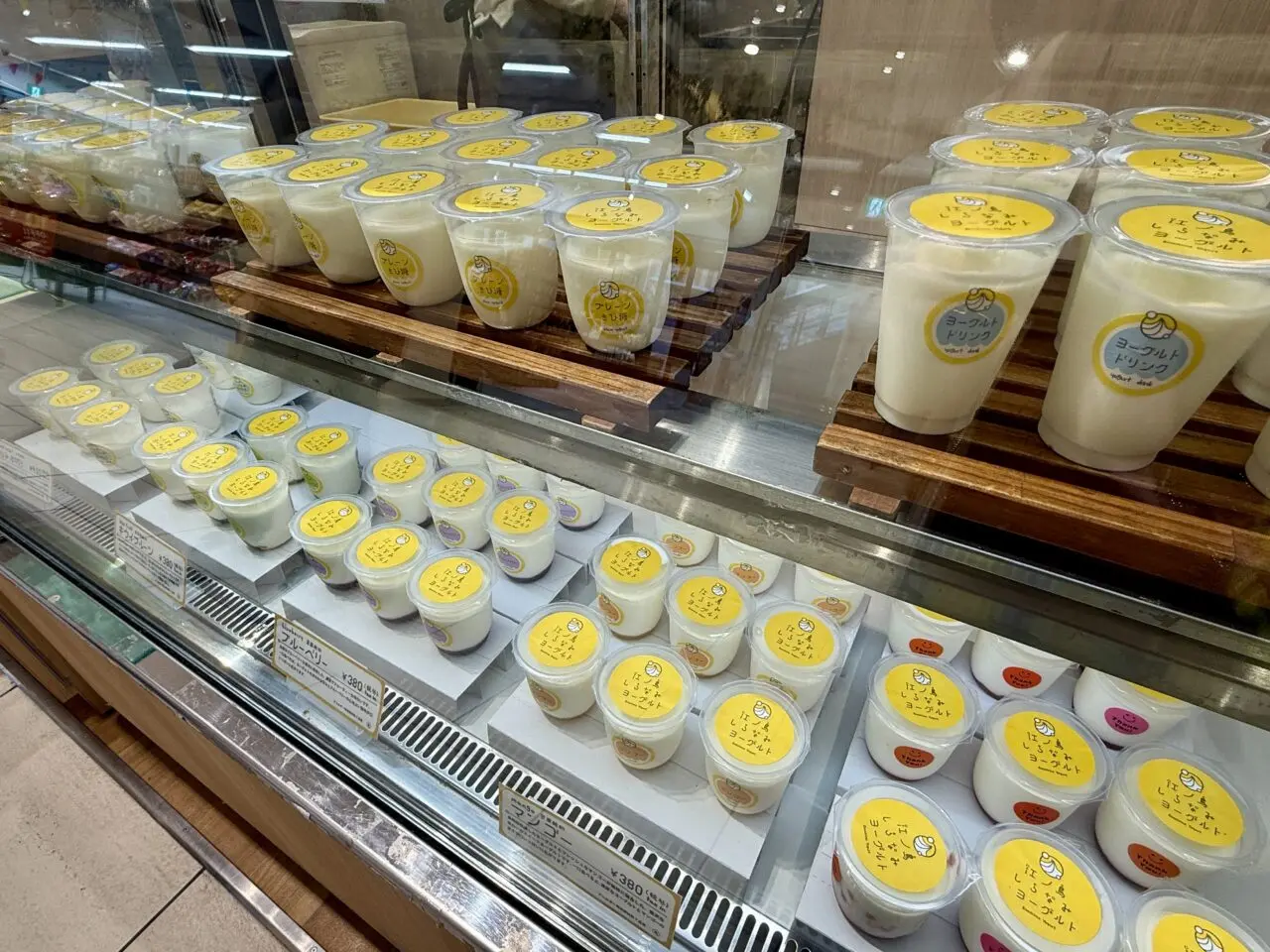 海老名マルイのショーケースに並ぶしらなみヨーグルト
