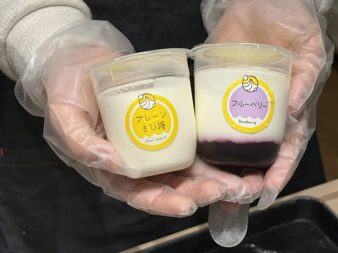 江ノ島しらなみヨーグルトのプレーンとブルーベリーを手に持った様子