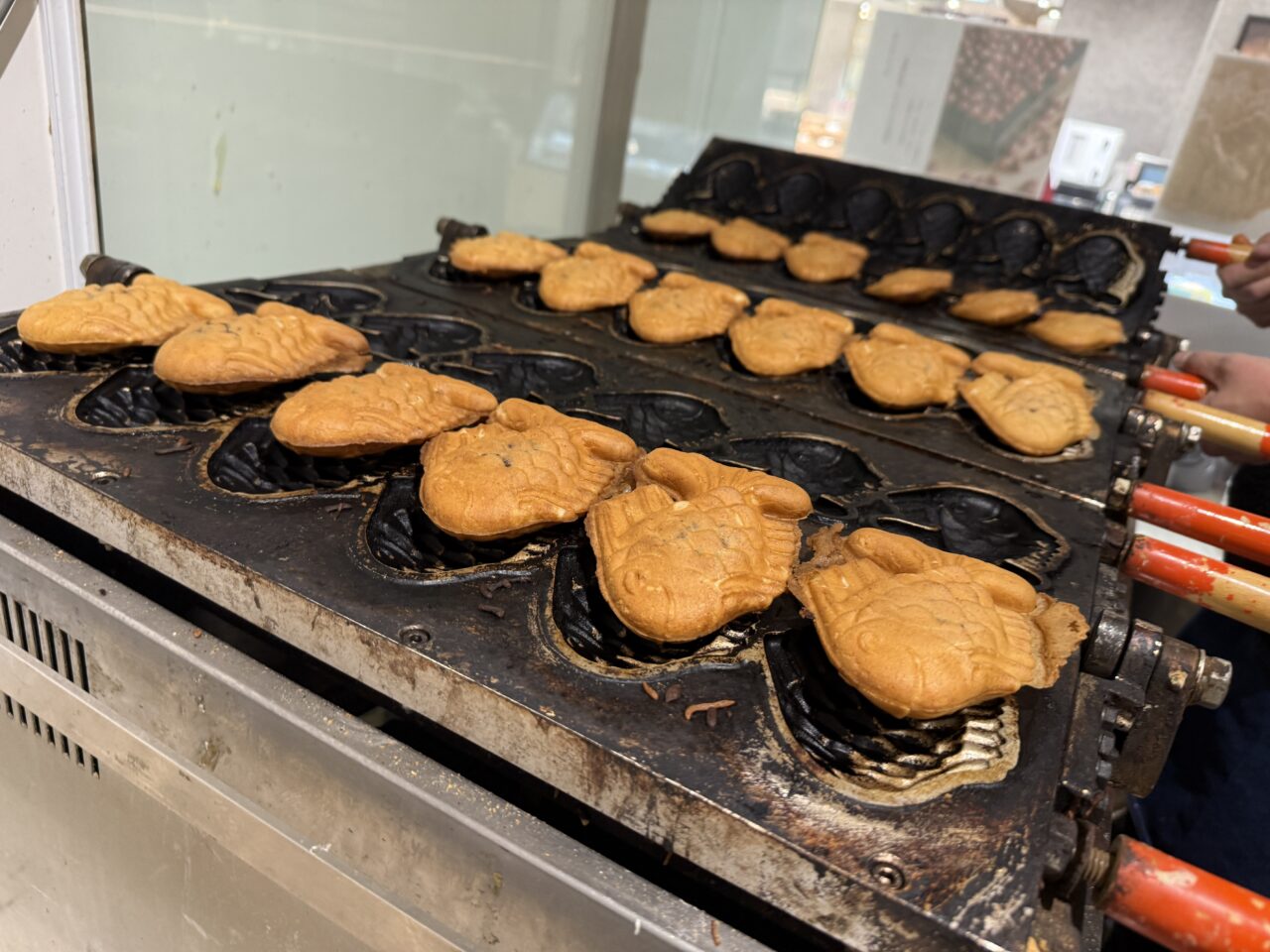 海老名市海老名マルイたい焼き一休