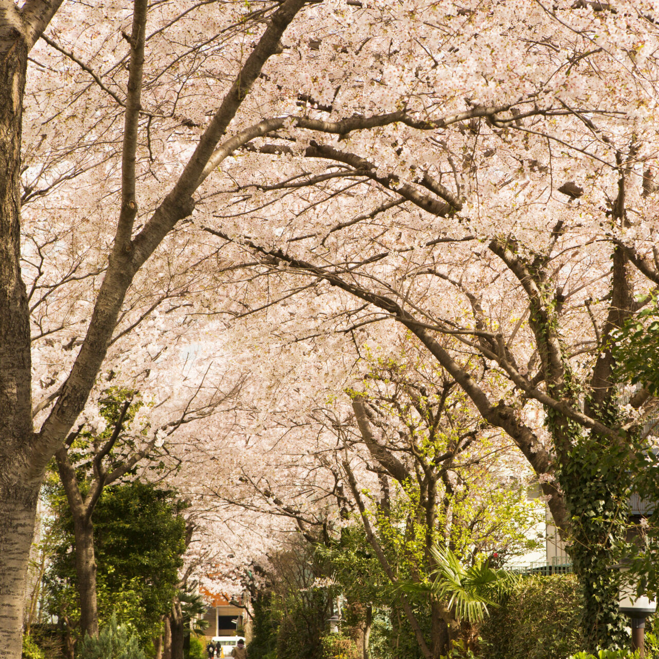 レンブラントホテル海老名