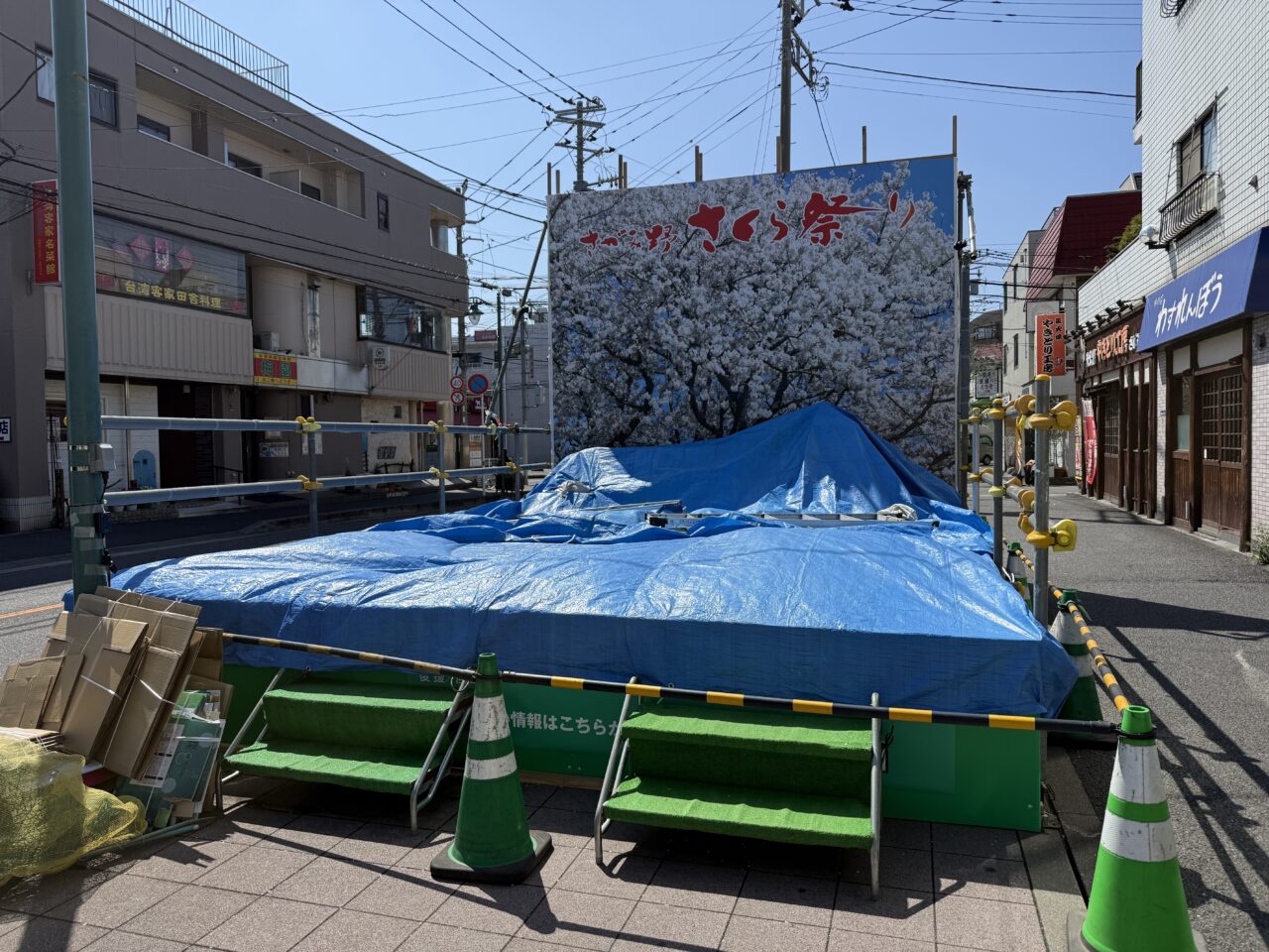 桜、さがみ野さくら祭り
