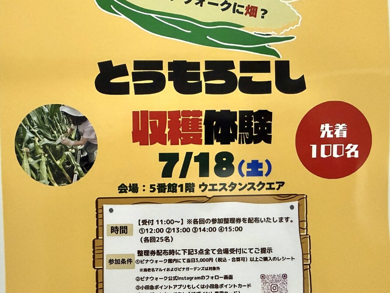 ビナウォークとうもろこし収穫体験