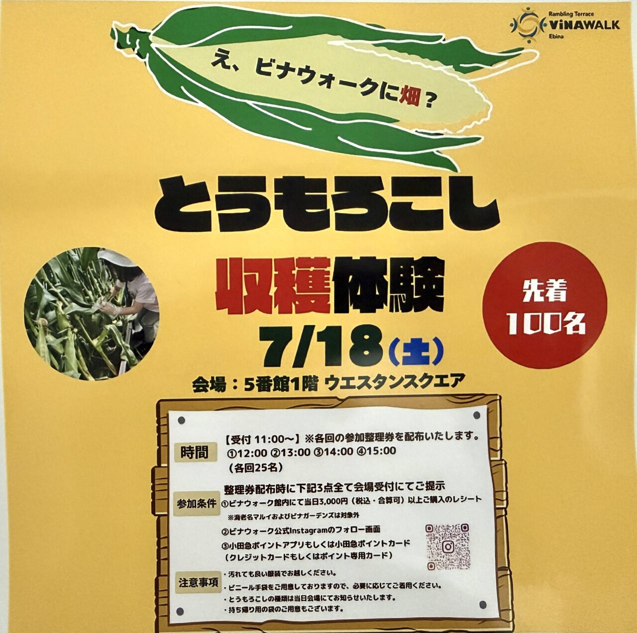 ビナウォークとうもろこし収穫体験