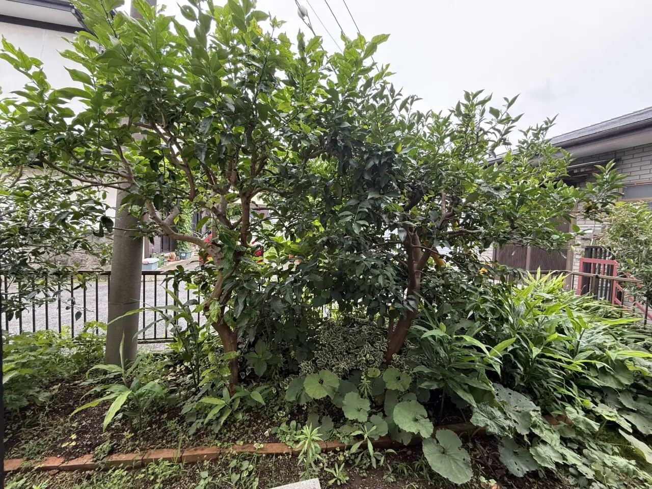 海老名市今泉に「学童クラブ葵 今泉」