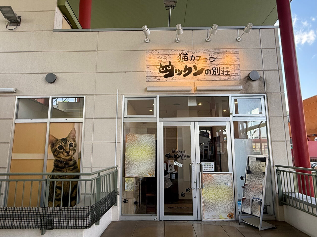 海老名市ビナウォーク猫カフェコックンの別荘